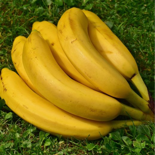 Bananen