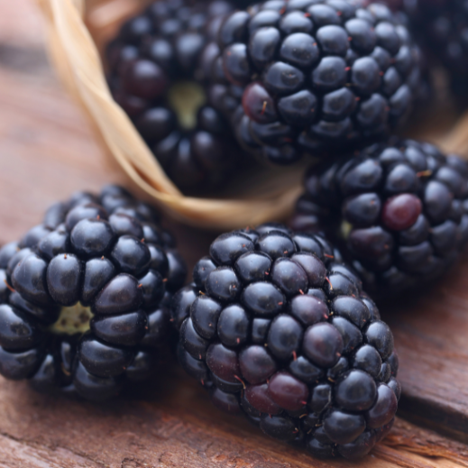 Brombeeren