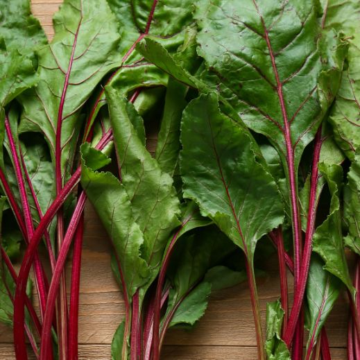 Rote-Bete-Blätter