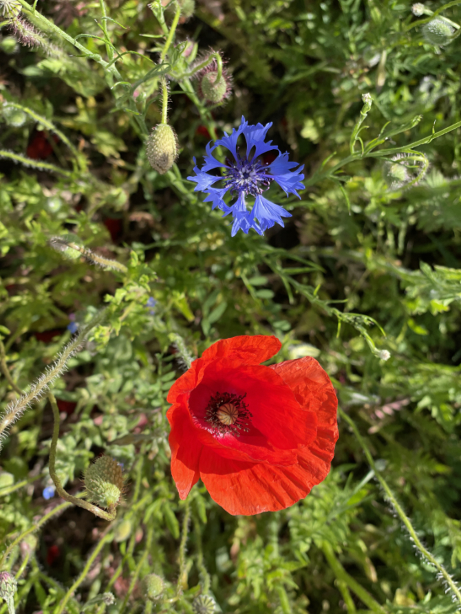 Herbst 1 1416 1062 px