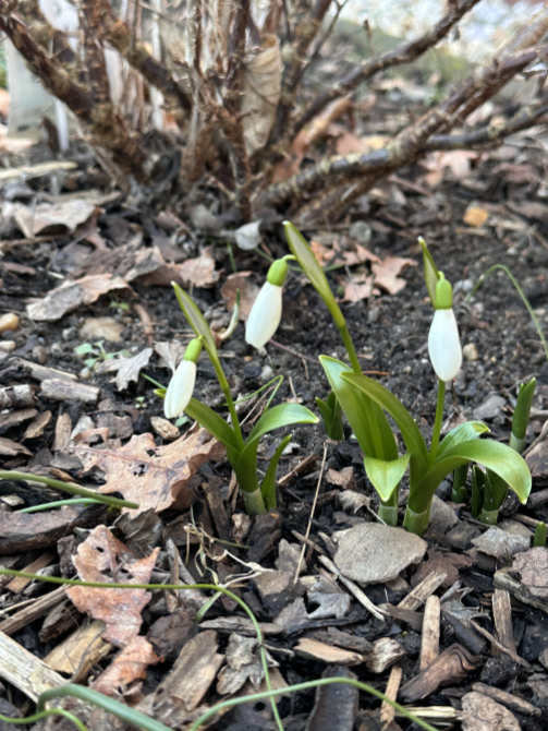 Februar04
